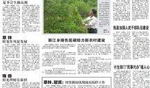 遂川热点爆料新闻报道,聚焦最新动态，揭秘幕后真相