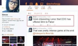 外媒爆料新十条新闻视频,新十条新闻背后的真相与影响