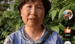 最新爆料田静直播,揭秘娱乐圈幕后真相