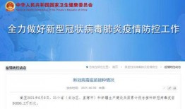 爆料新闻网站是什么,爆料新闻网站背后的真相与影响力