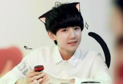 狗仔爆料王源网红视频,狗仔爆料背后的故事