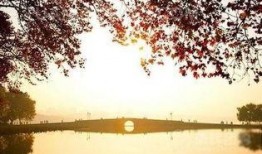 断桥爆料技巧视频