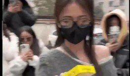 娱乐爆料免费吃瓜,免费吃瓜盛宴，揭秘明星幕后故事