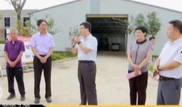 安徽滁州新闻爆料视频,视频揭露当地事件引发关注