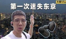 李大锤爆料回放视频,揭秘事件真相与幕后黑幕