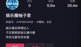 抖音八卦最新爆料,揭秘明星幕后八卦，真相令人震惊！