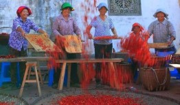 农民二龙最新爆料图片,最新图片揭秘农村生活新面貌