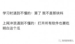 巧嘴吃瓜小说知乎全文免费阅读,揭秘知乎小说全文免费阅读背后的故事