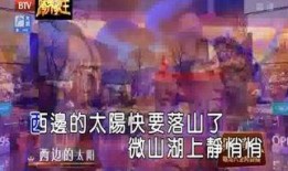 警界线国语版在线观看