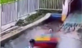 网友爆料旅游事件视频,旅游事件视频引发热议，揭秘行业乱象