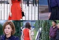 姐姐依旧风采在线观看,重温经典，致敬岁月