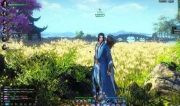 逆水寒桃子爆料攻略视频,揭秘游戏玩法与技巧