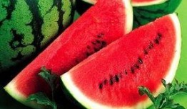 四川网红藏族吃瓜,趣味横生的民族风情展示