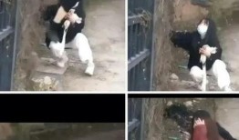 网友爆料金碧学校视频是真的吗,网友爆料金碧学校视频真实性调查