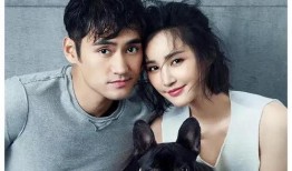 娱乐圈三大爆料明星,幕后真相与传奇故事