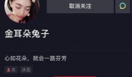 娱乐圈爆料全靠圈内人吗,揭秘圈内人背后的秘密力量